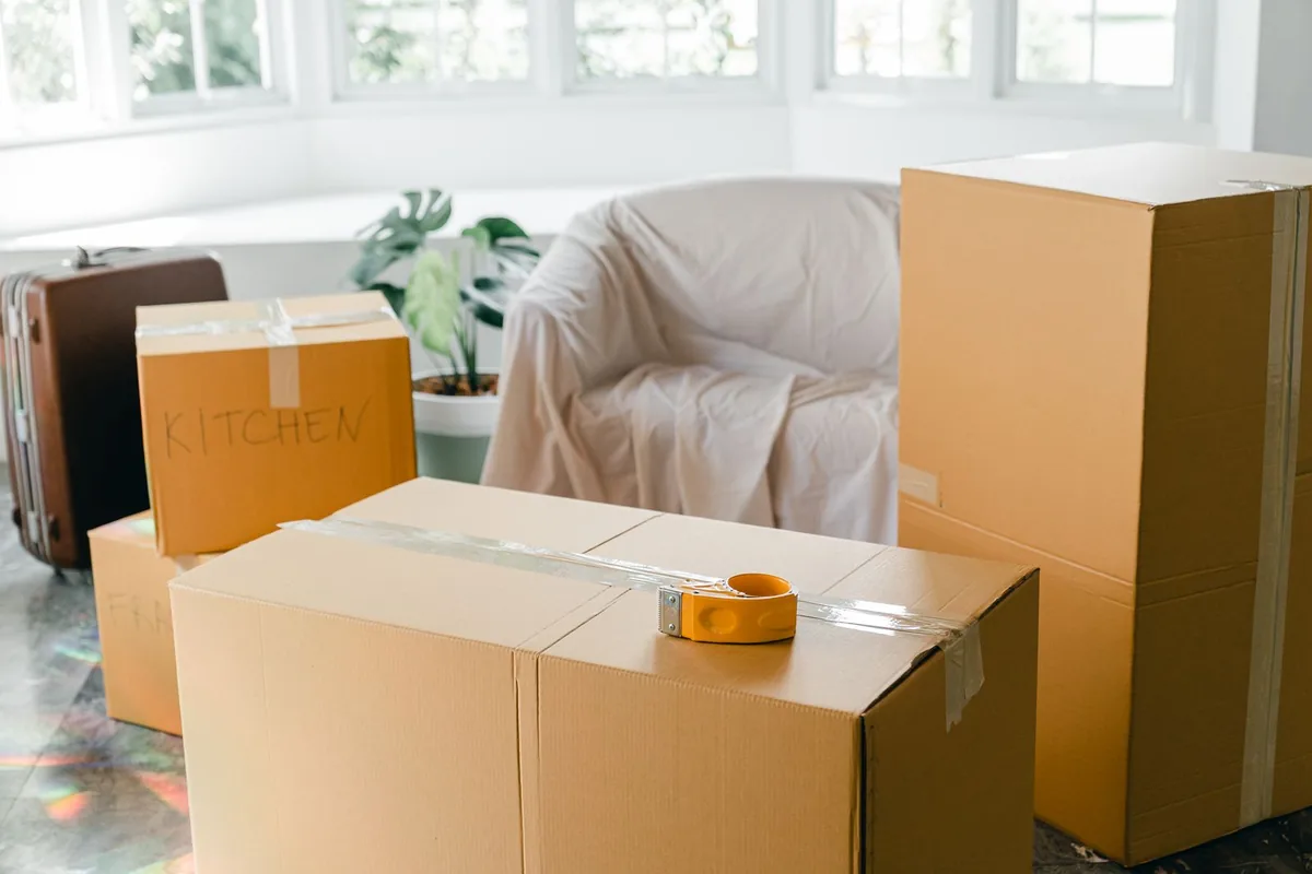 Animal Hoarding Cleanup in Waynesville, OH